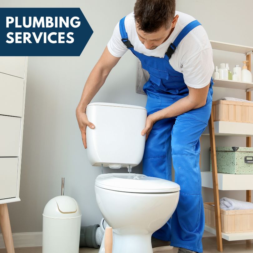 Plumbing Company in Cowlesville, NY